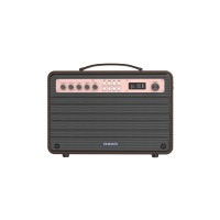 Aiwa MI-X440 Enigma Beta 80 W Bluetooth Home Audio Speaker  (Black, Mono Channel)